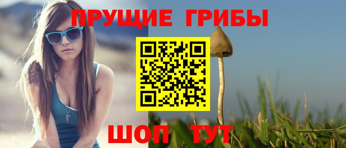 Волжск  Псилоцибиновые грибы MAGIC MUSHROOMS  Вход с VPN  Псилоцибиновые грибы прущие грибы 